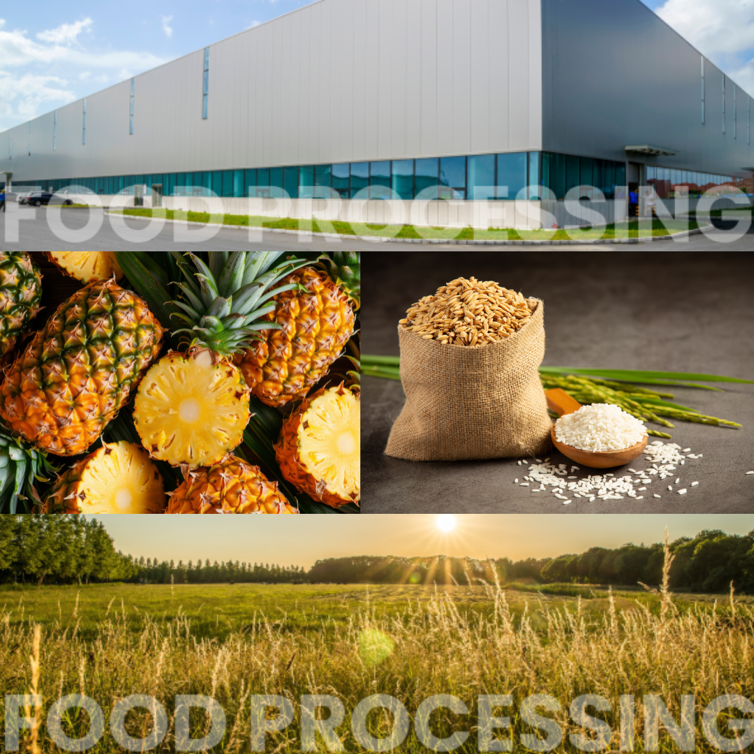 Definition of Process Authority in Thermal Processing and Heat Preserved Food